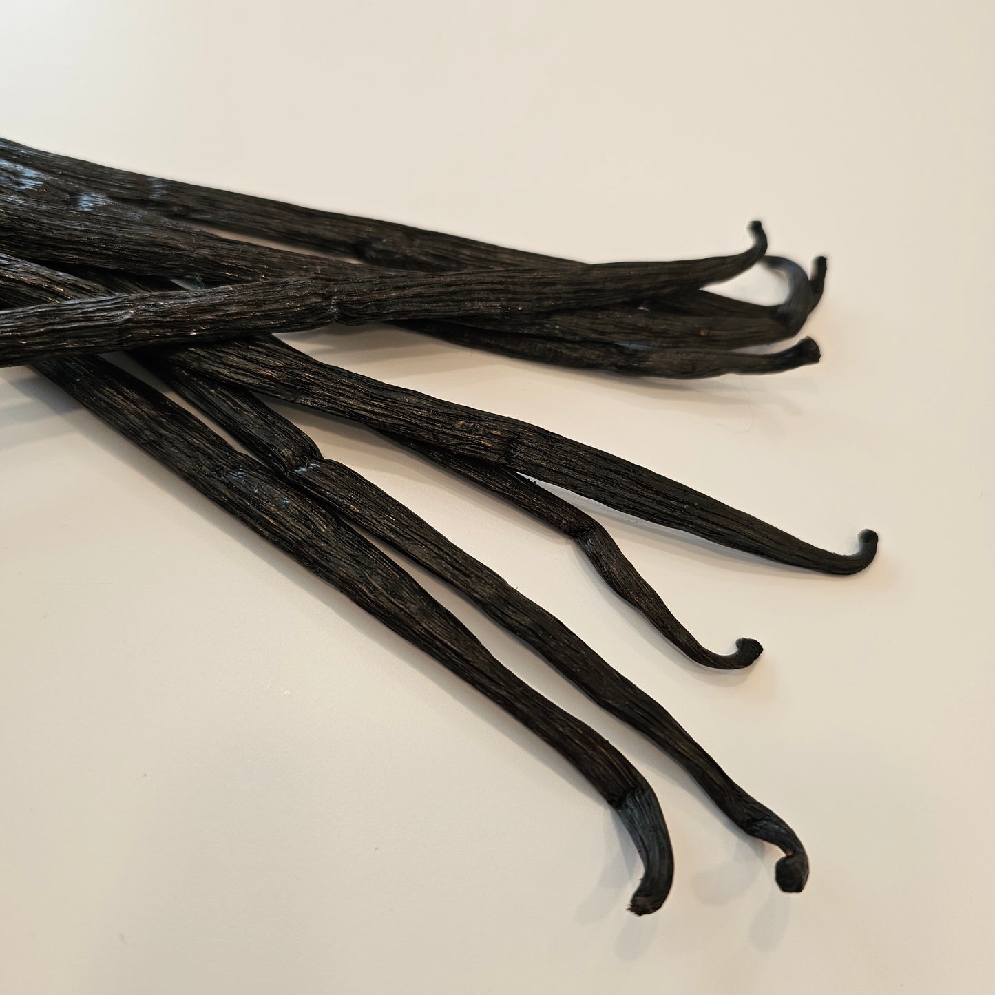 Zanzibar, Tanzania V. planifolia Vanilla Beans