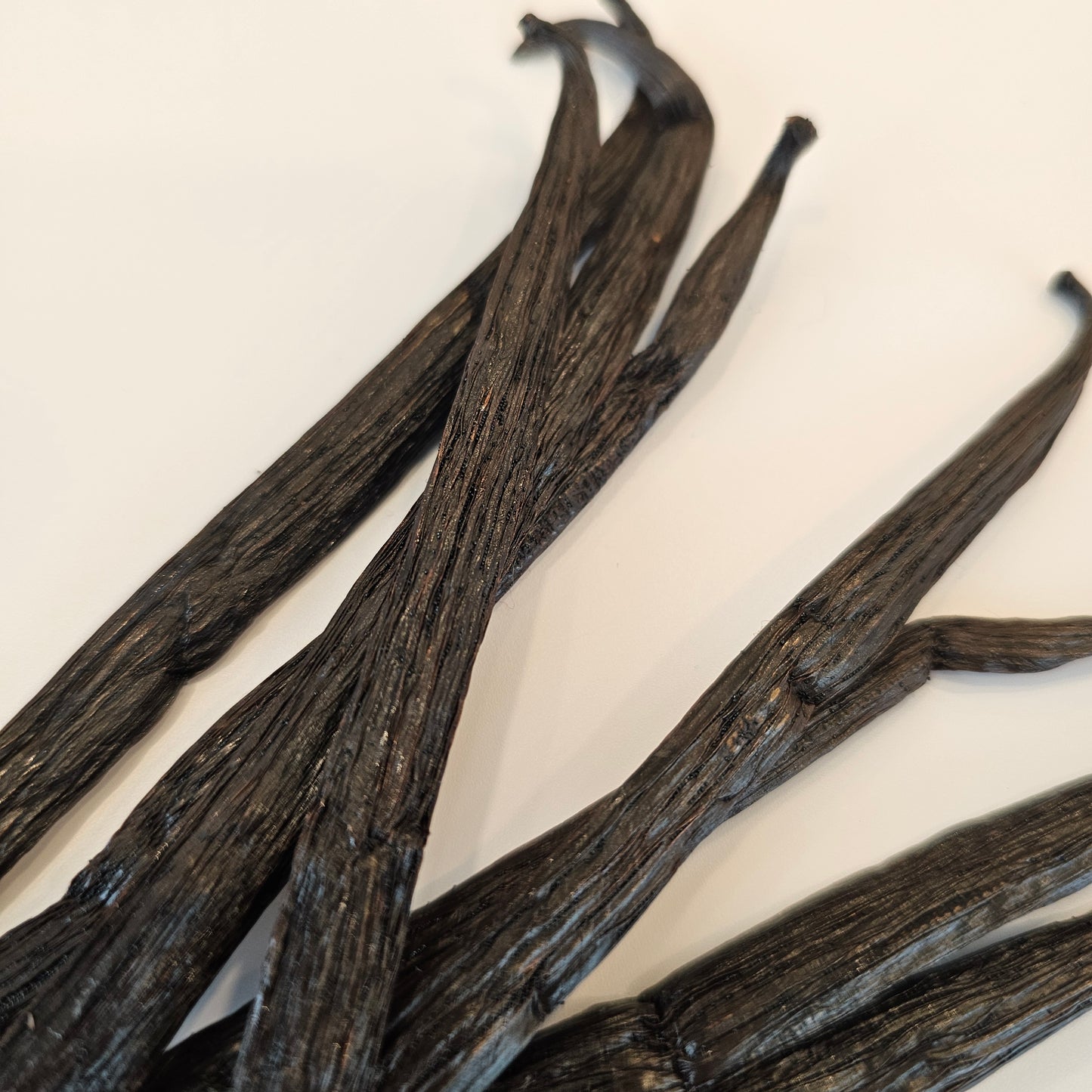 Zanzibar, Tanzania V. planifolia Vanilla Beans