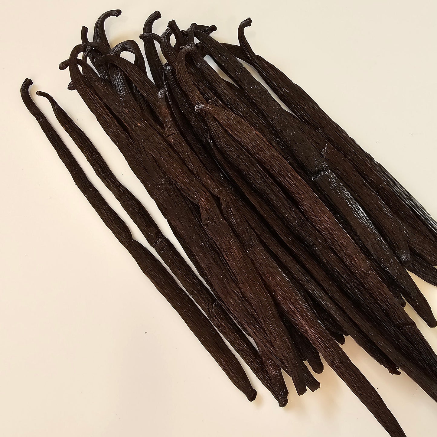Democratic Republic of the Congo V. planifolia Vanilla Beans