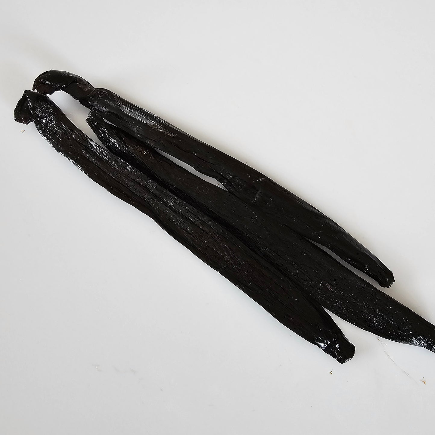 Colombia V. pompona Vanilla Beans