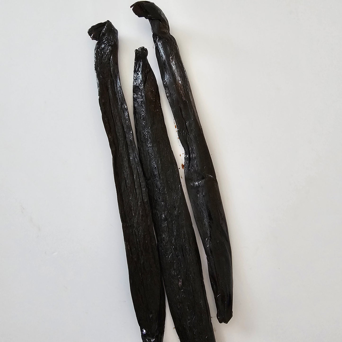 Colombia V. pompona Vanilla Beans