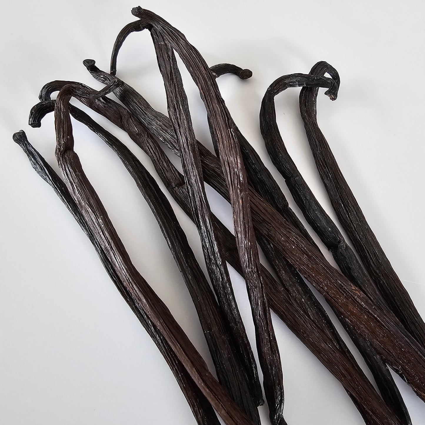 Venezuela V. Tahitensis Vanilla Beans