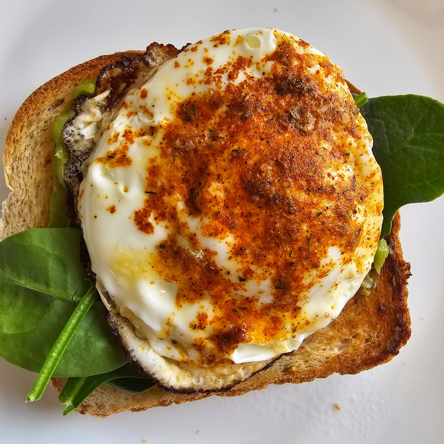 Elephant Ear Seasoning Salt