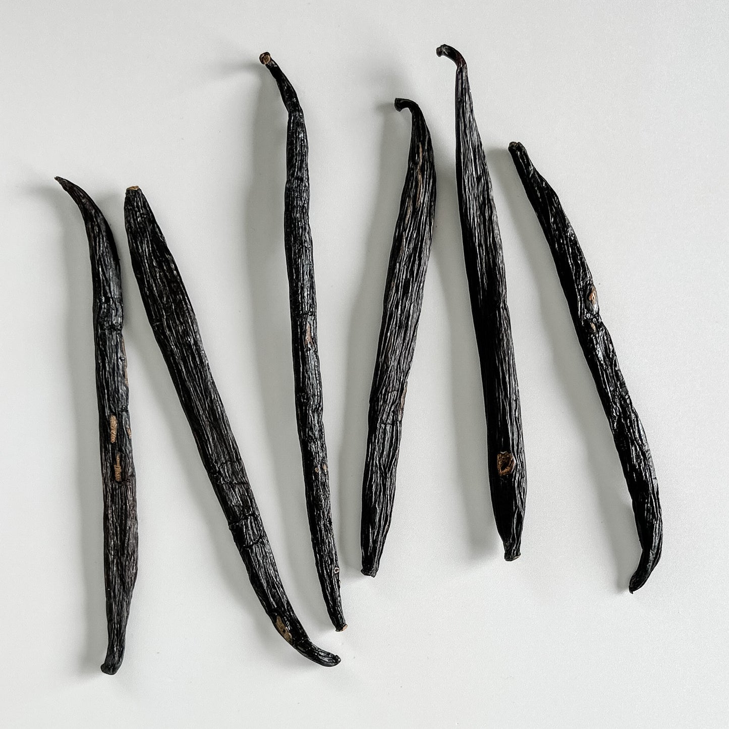 Colombia V. planifolia Vanilla Beans