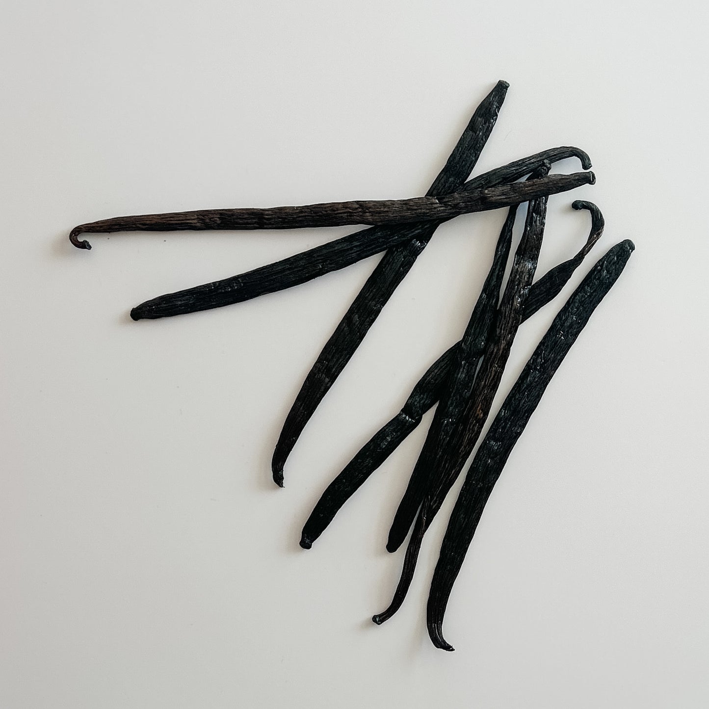 Honduras V. planifolia Vanilla Beans
