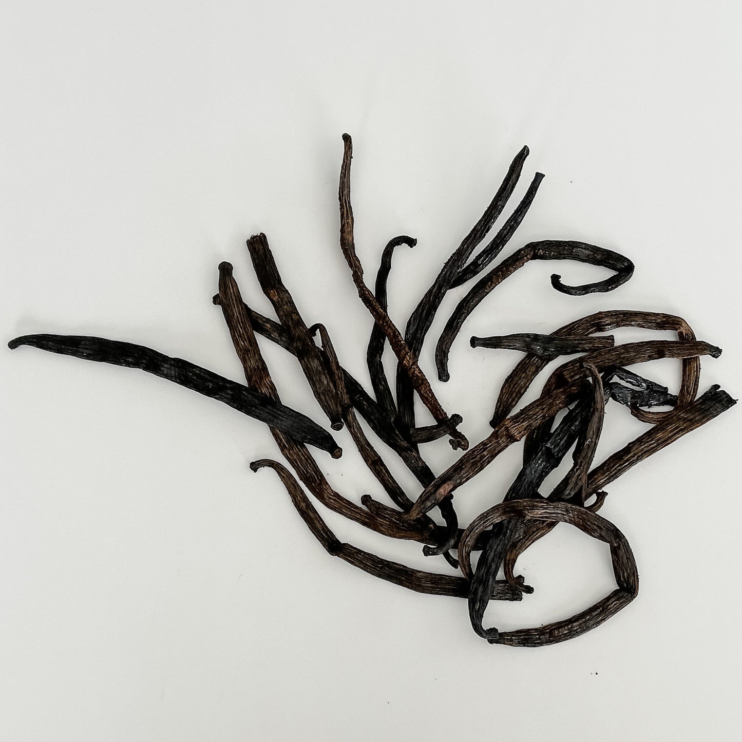 French Guiana and Guyana V. pompona and V. planifolia blend