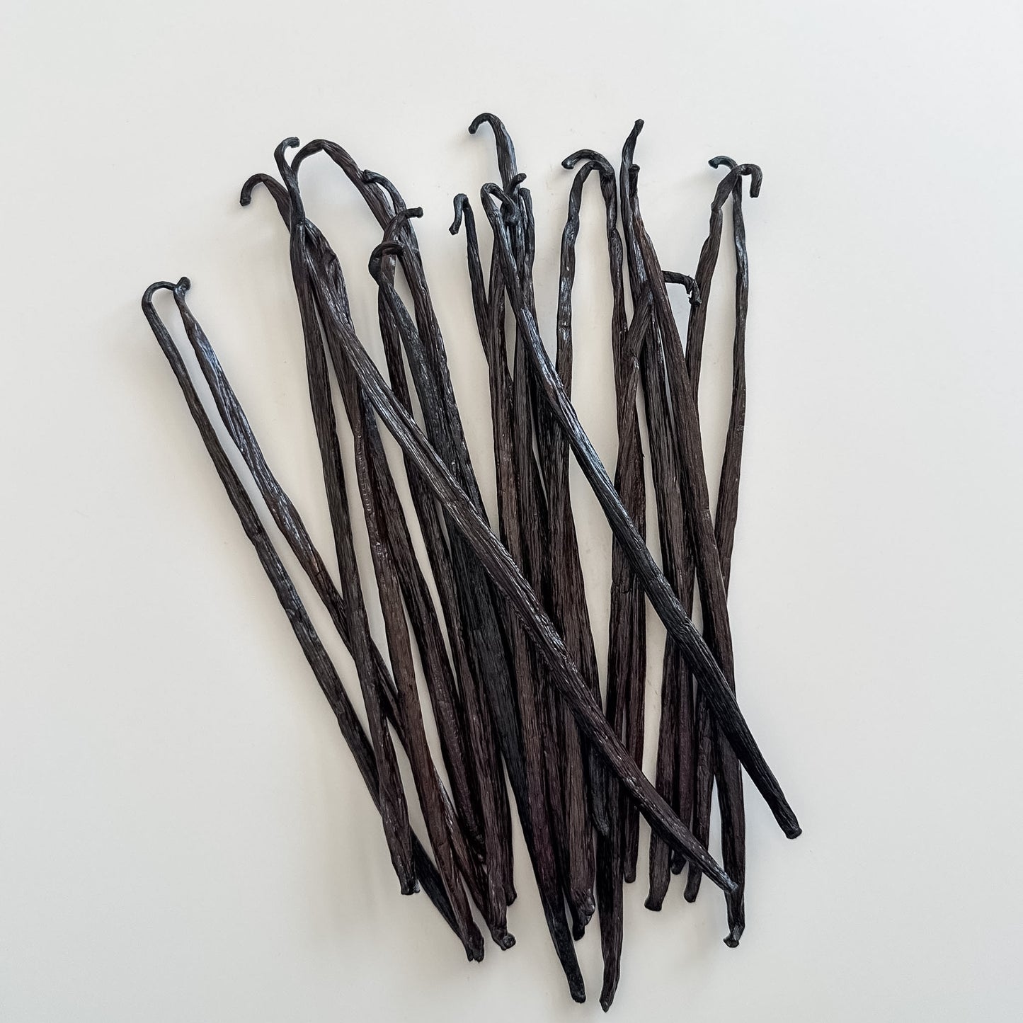 West Papua, Indonesia, V. planifolia Vanilla Beans
