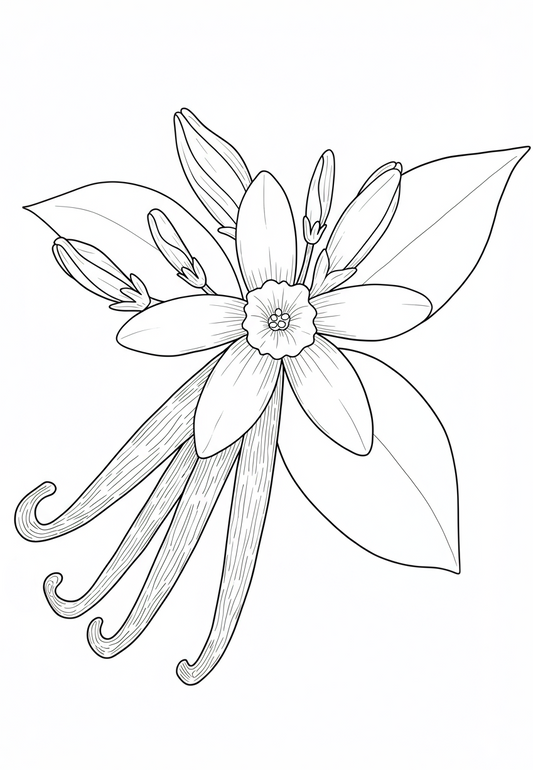 Coloring Pages
