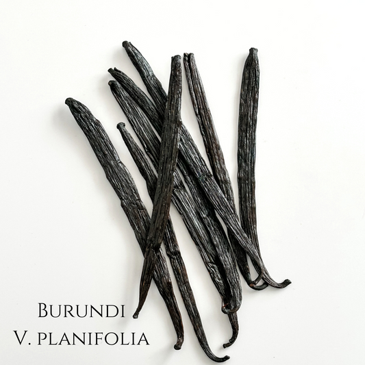 Burundi V. planifolia Vanilla Beans