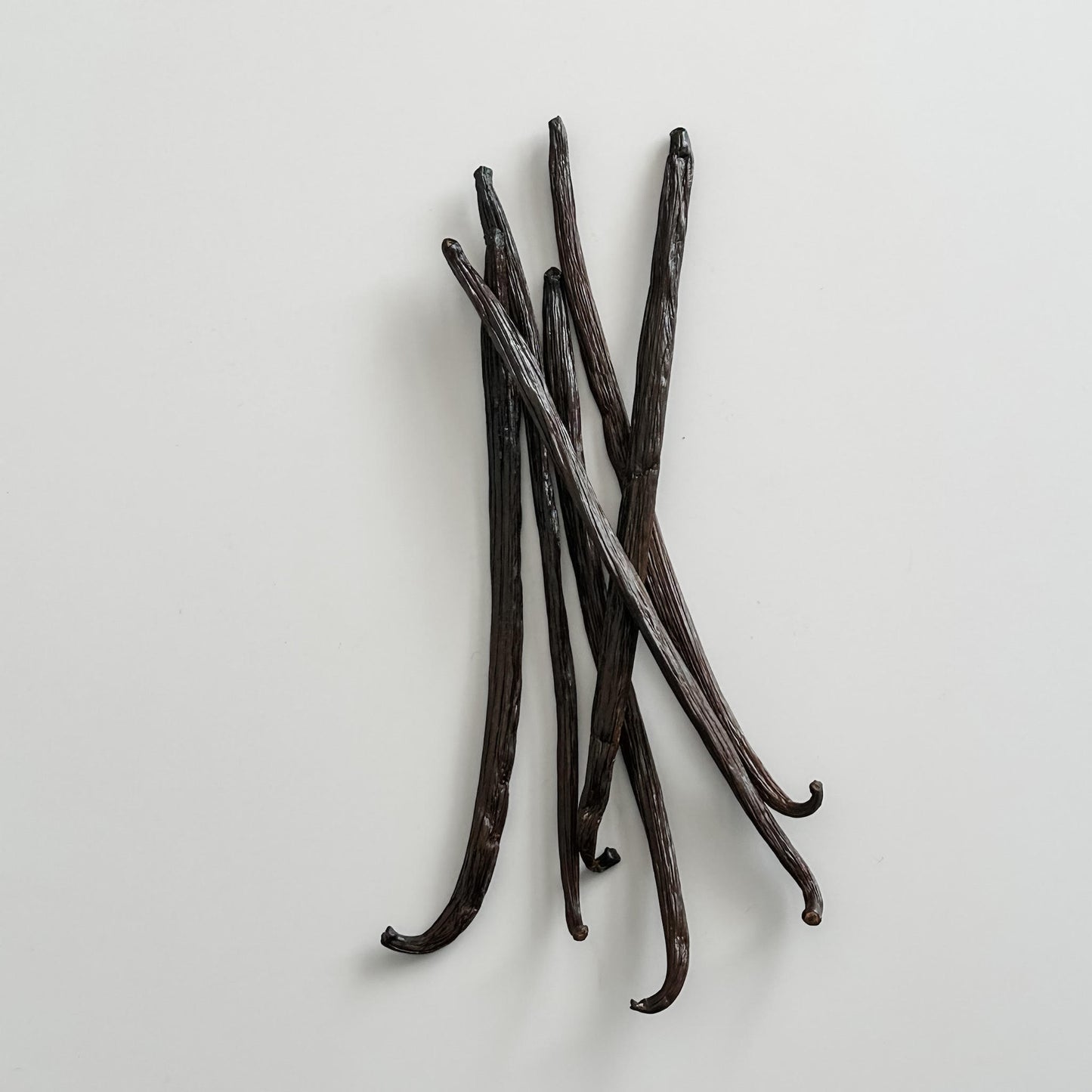 Dominican Republic V. planifolia Vanilla Beans