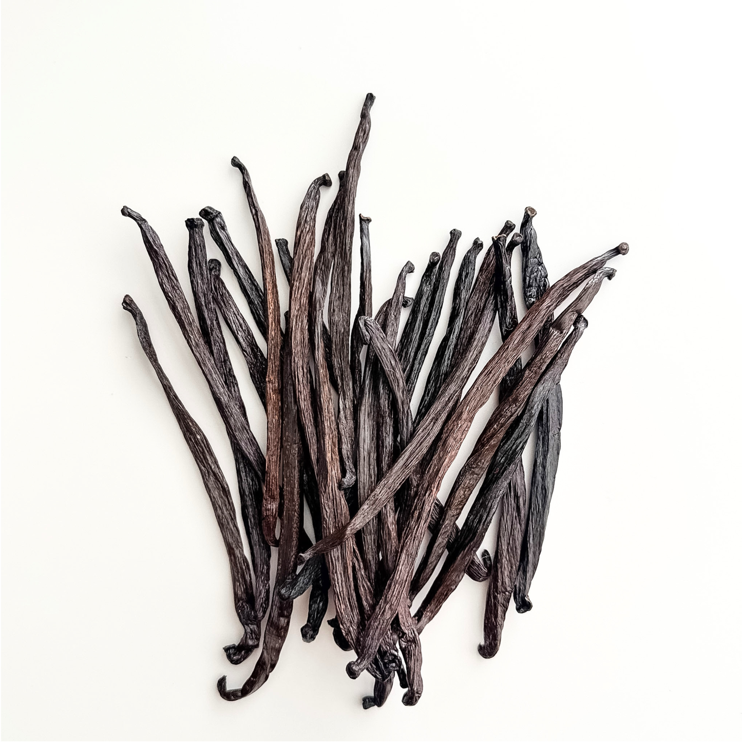 Honduras V. planifolia Vanilla Extract Grade Beans