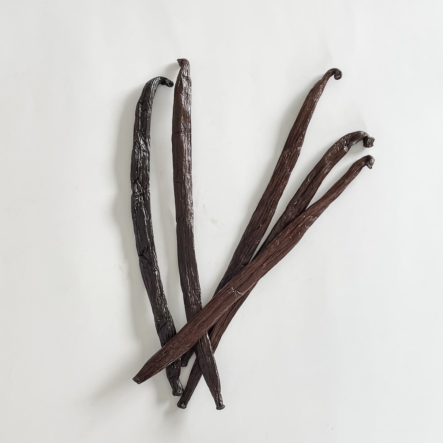 'Ua Pou, V. tahitensis Vanilla Beans