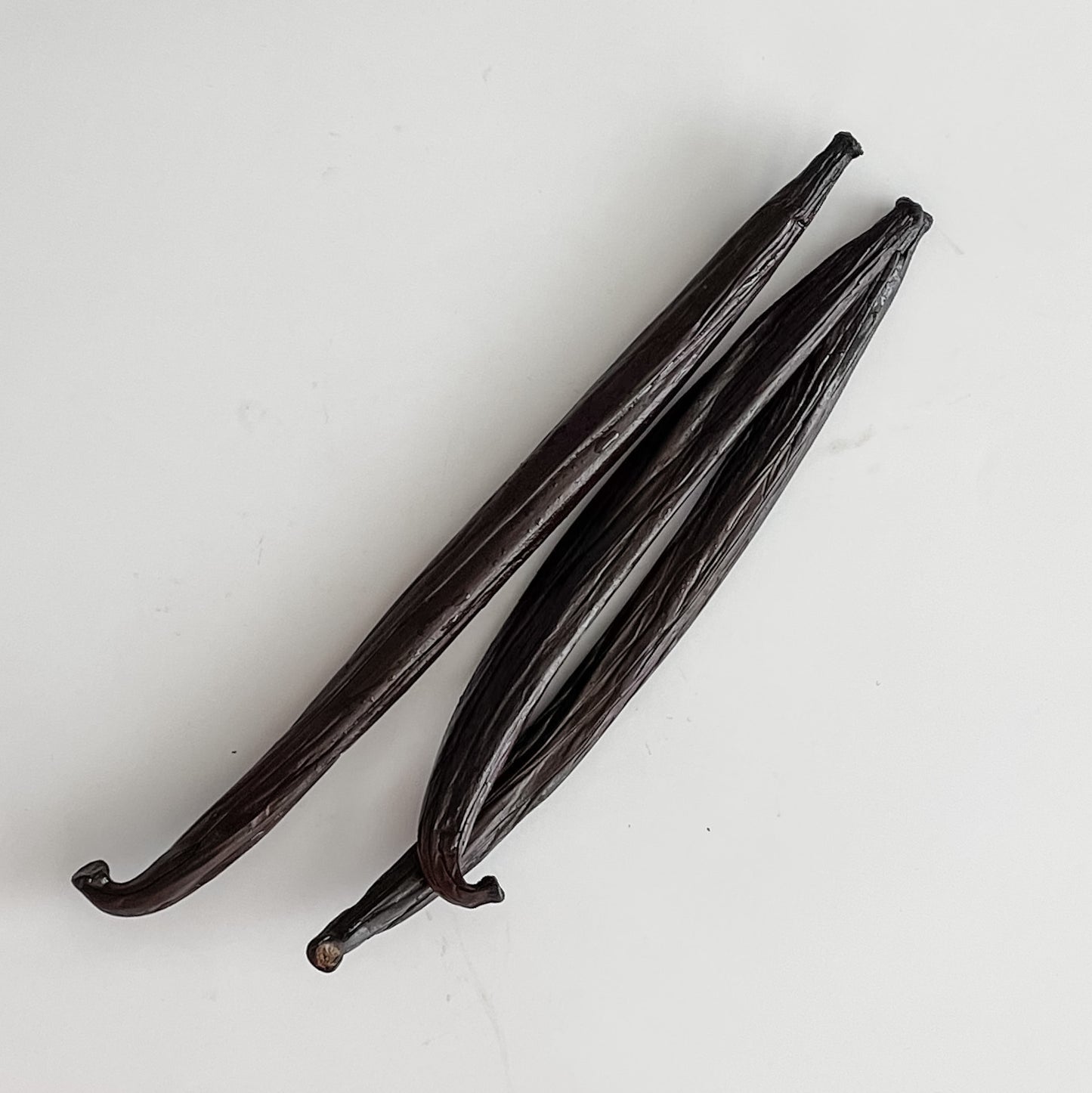 Tonga V. tahitensis Vanilla Beans