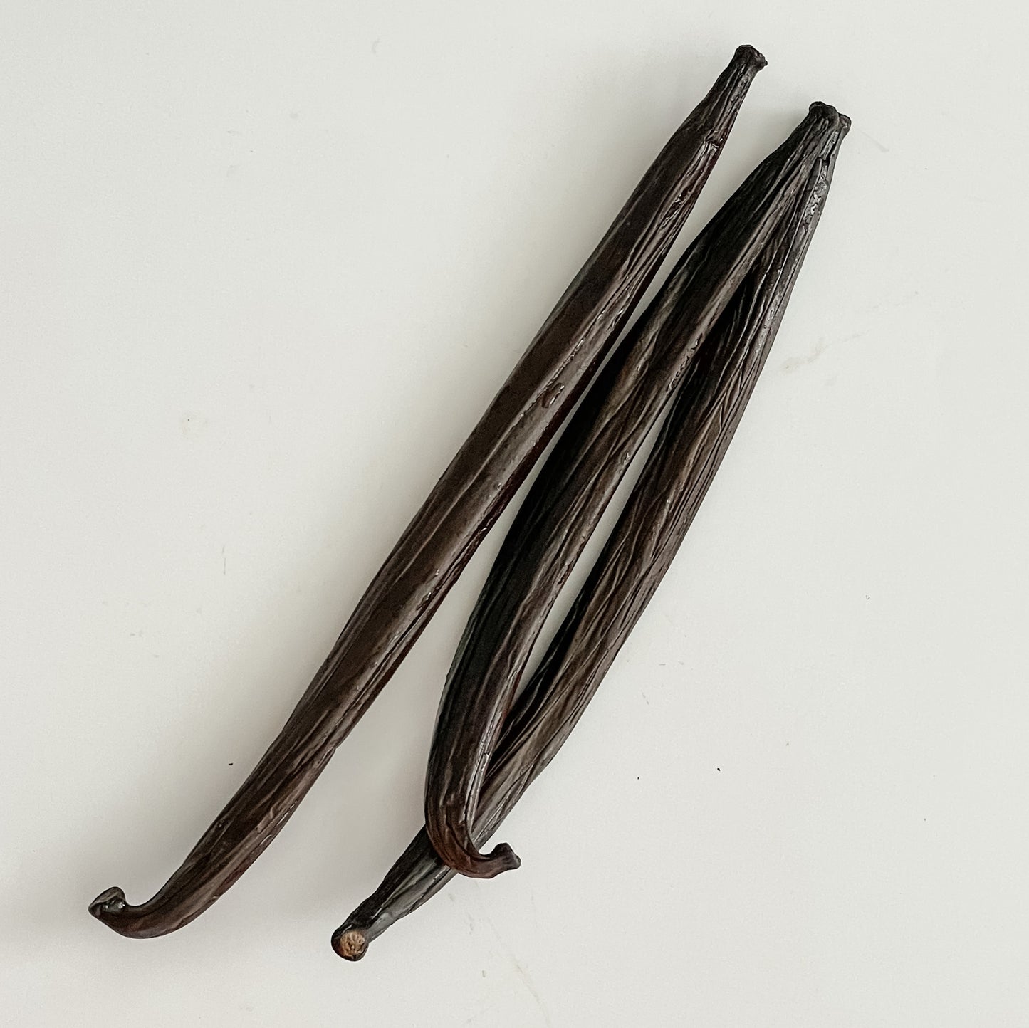 Tonga V. tahitensis Vanilla Beans
