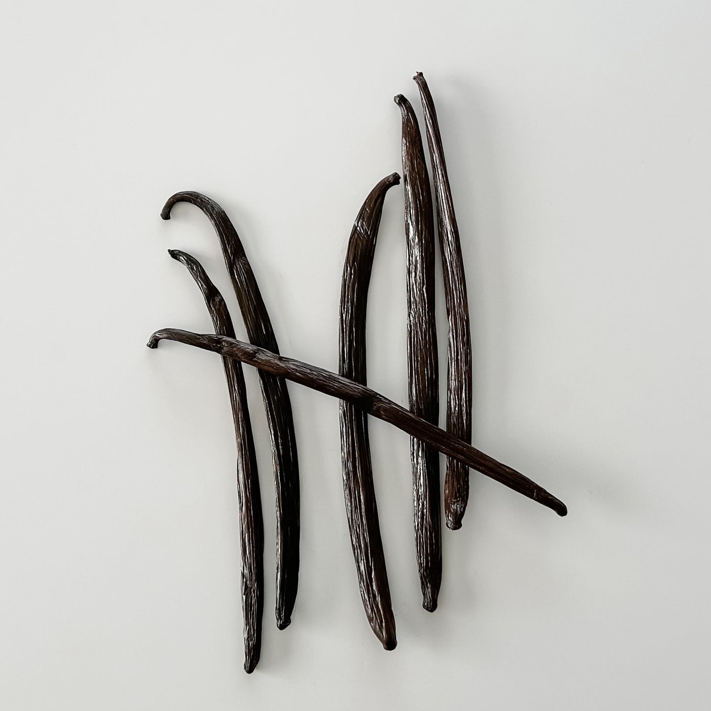 Western Samoa V. planifolia/V. tahitensis cross Vanilla Beans