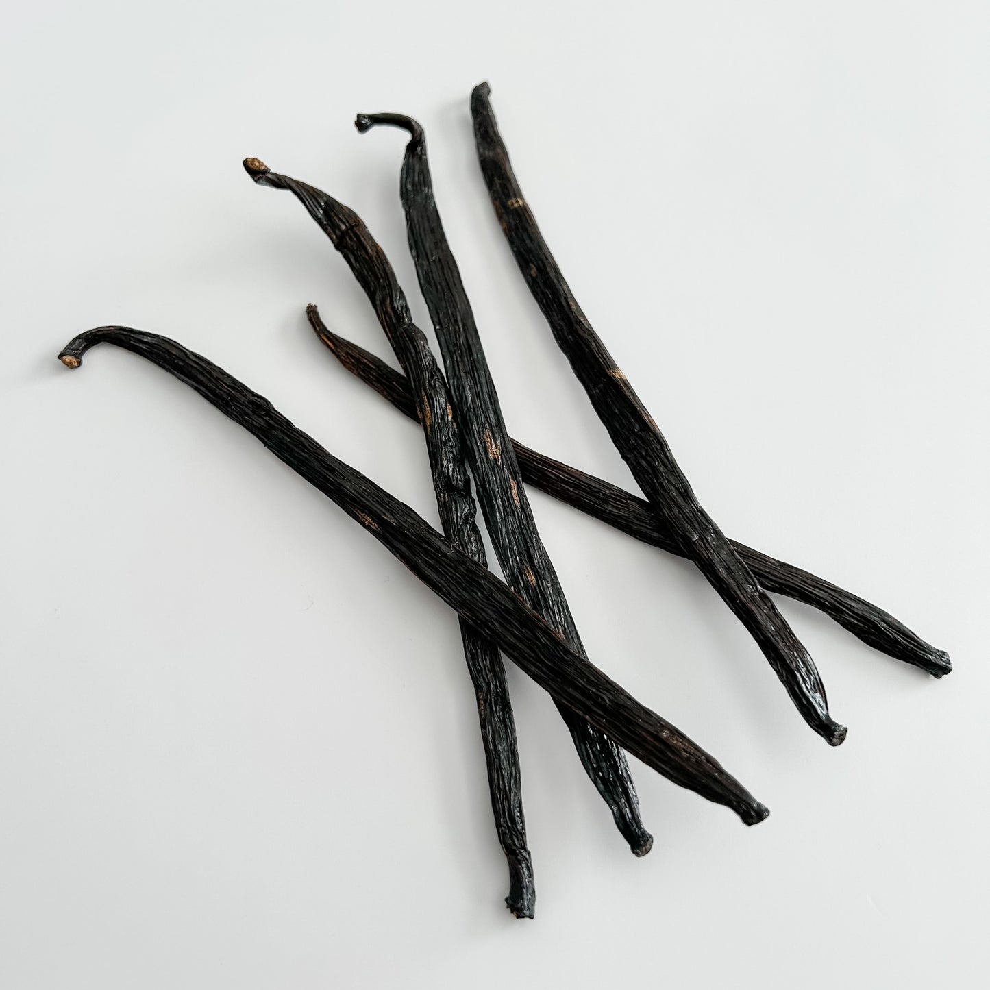 Costa Rica V. costaricensis Vanilla Beans