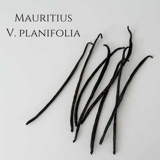 Mauritius V. planifolia Vanilla Beans