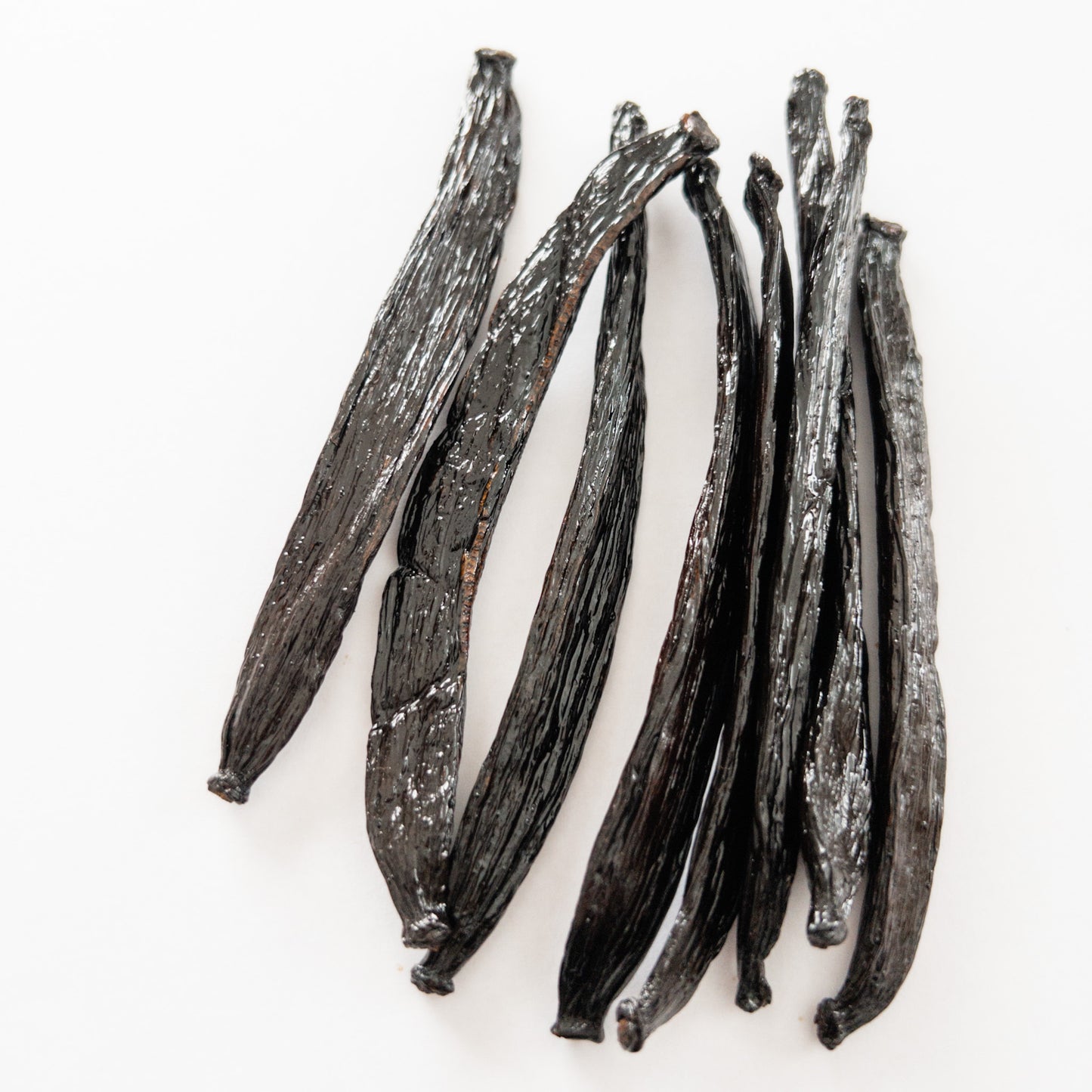 Mexico V. cribbiana Vanilla Beans