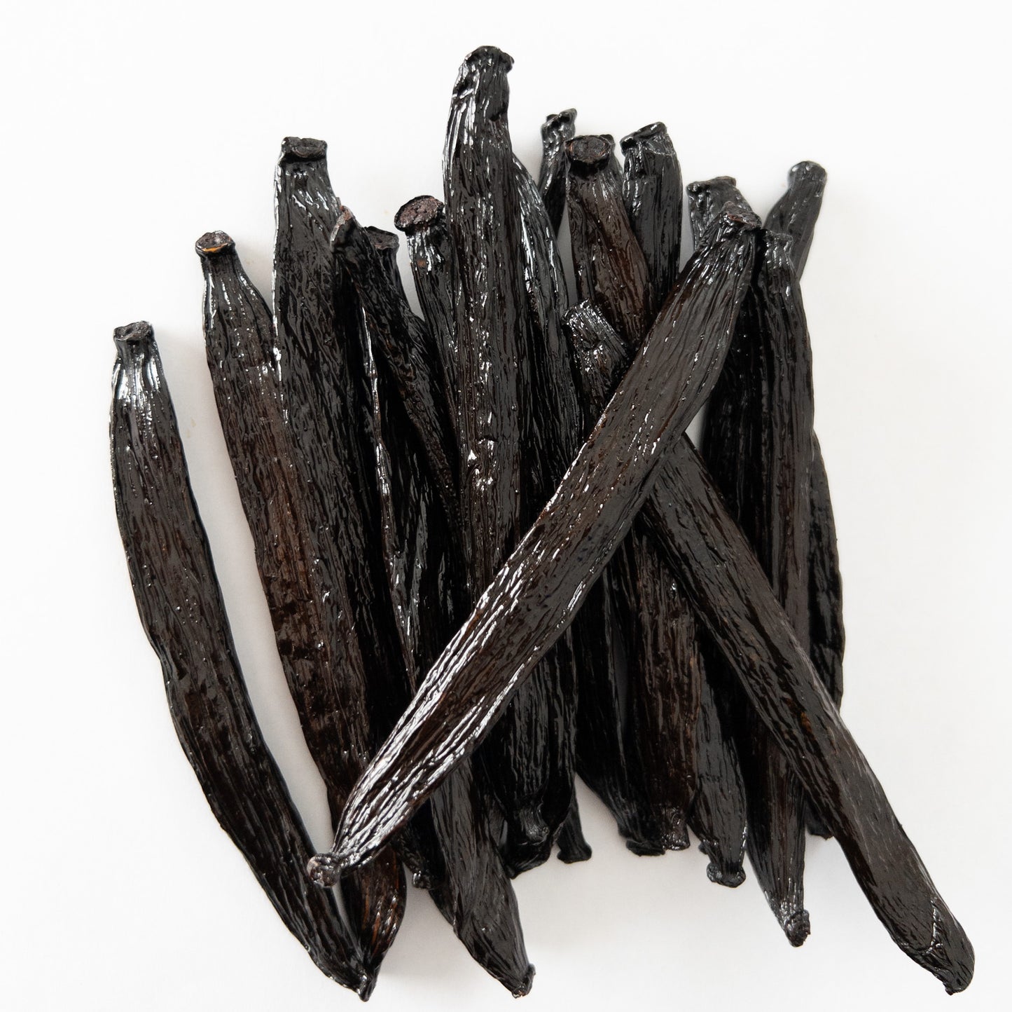 Mexico V. cribbiana Vanilla Beans