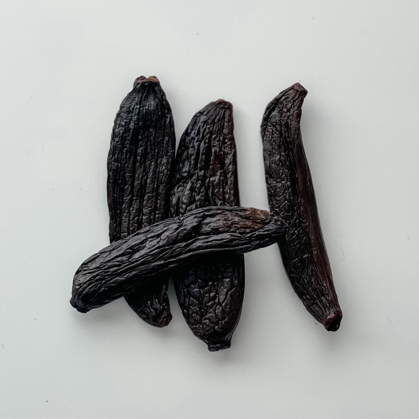 New Caledonia V. pompona