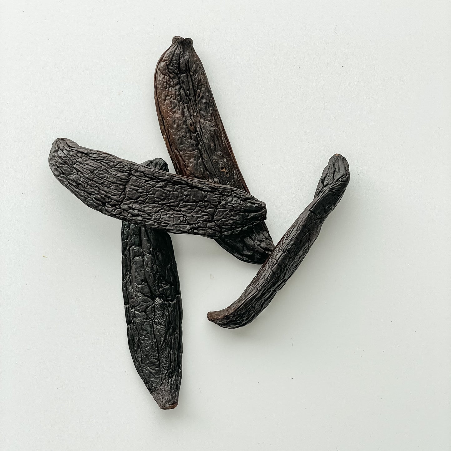 New Caledonia V. pompona