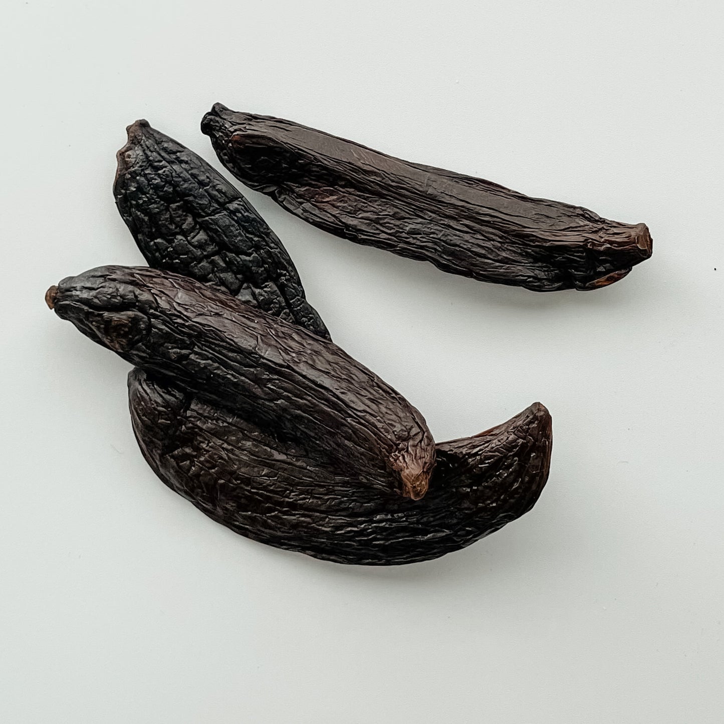 New Caledonia V. pompona