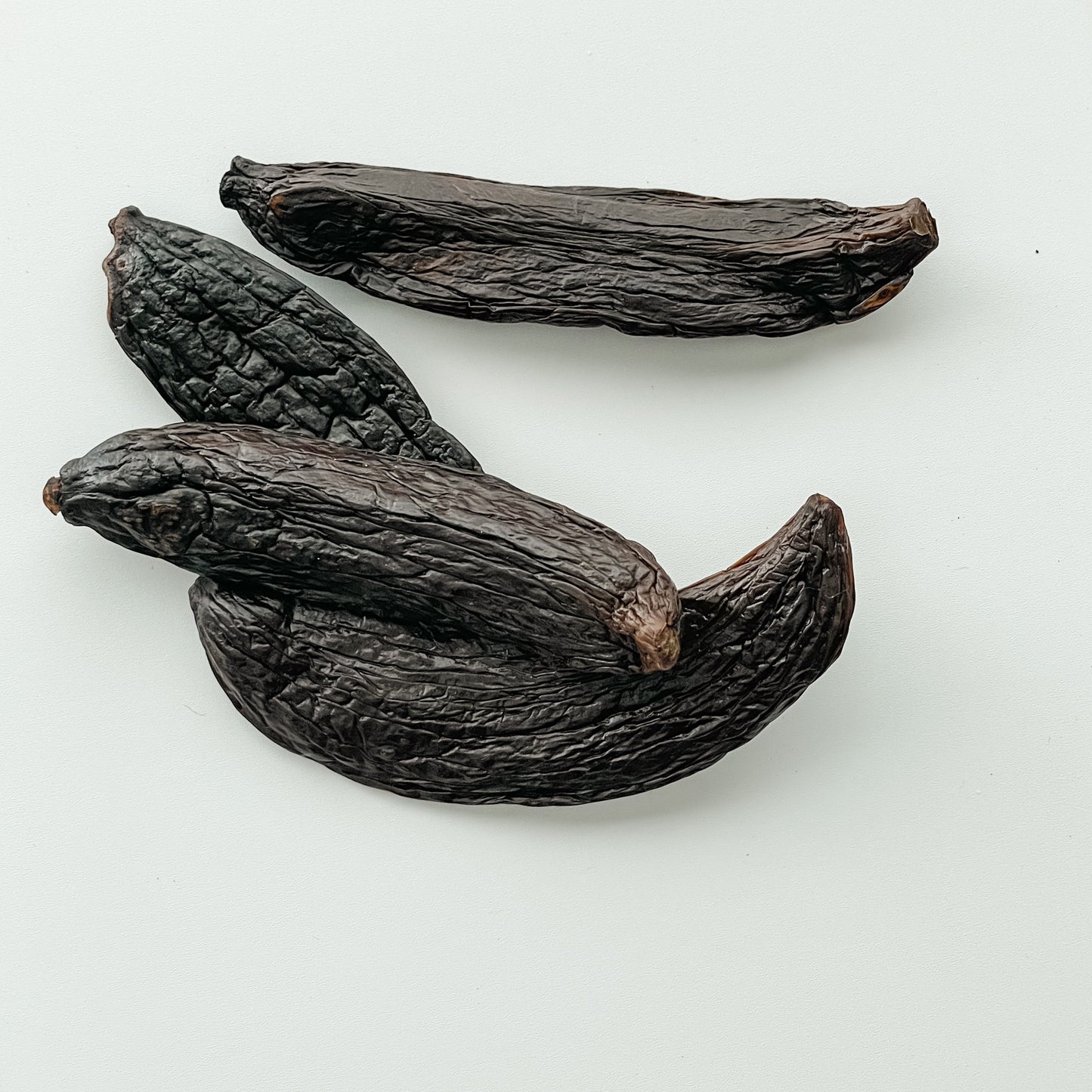 New Caledonia V. pompona