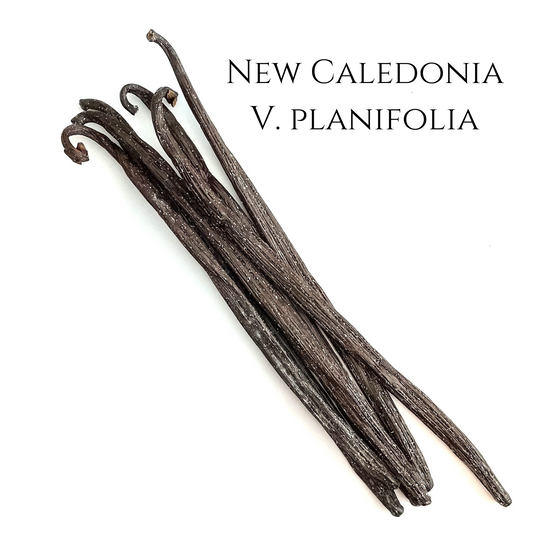 New Caledonia V. planifolia Vanilla Beans