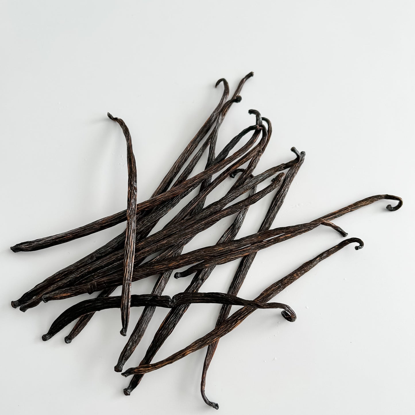 Nicaragua V. planifolia