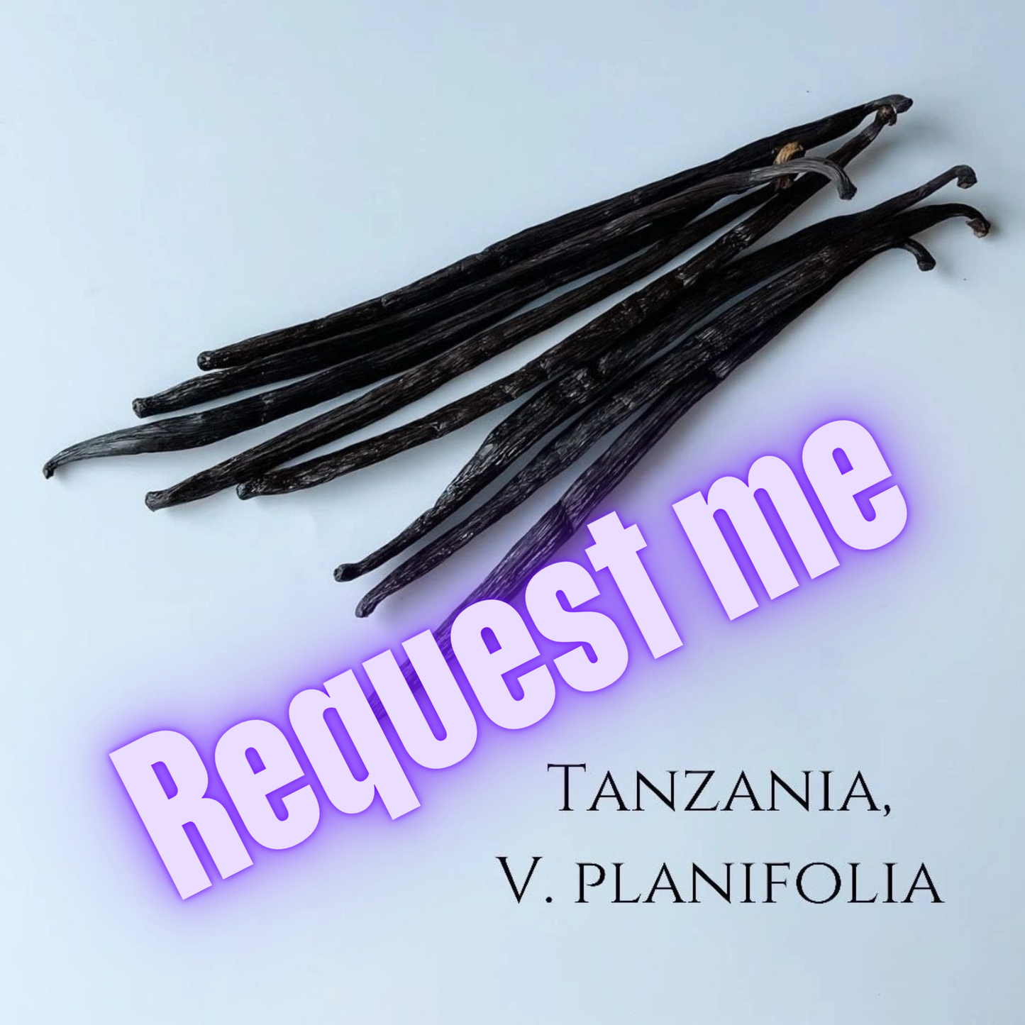 Tanzania V. planifolia Vanilla Beans