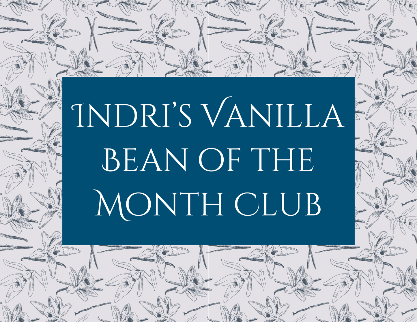 Indri's Vanilla Bean of the Month Club - Now with FREE SHIPPING