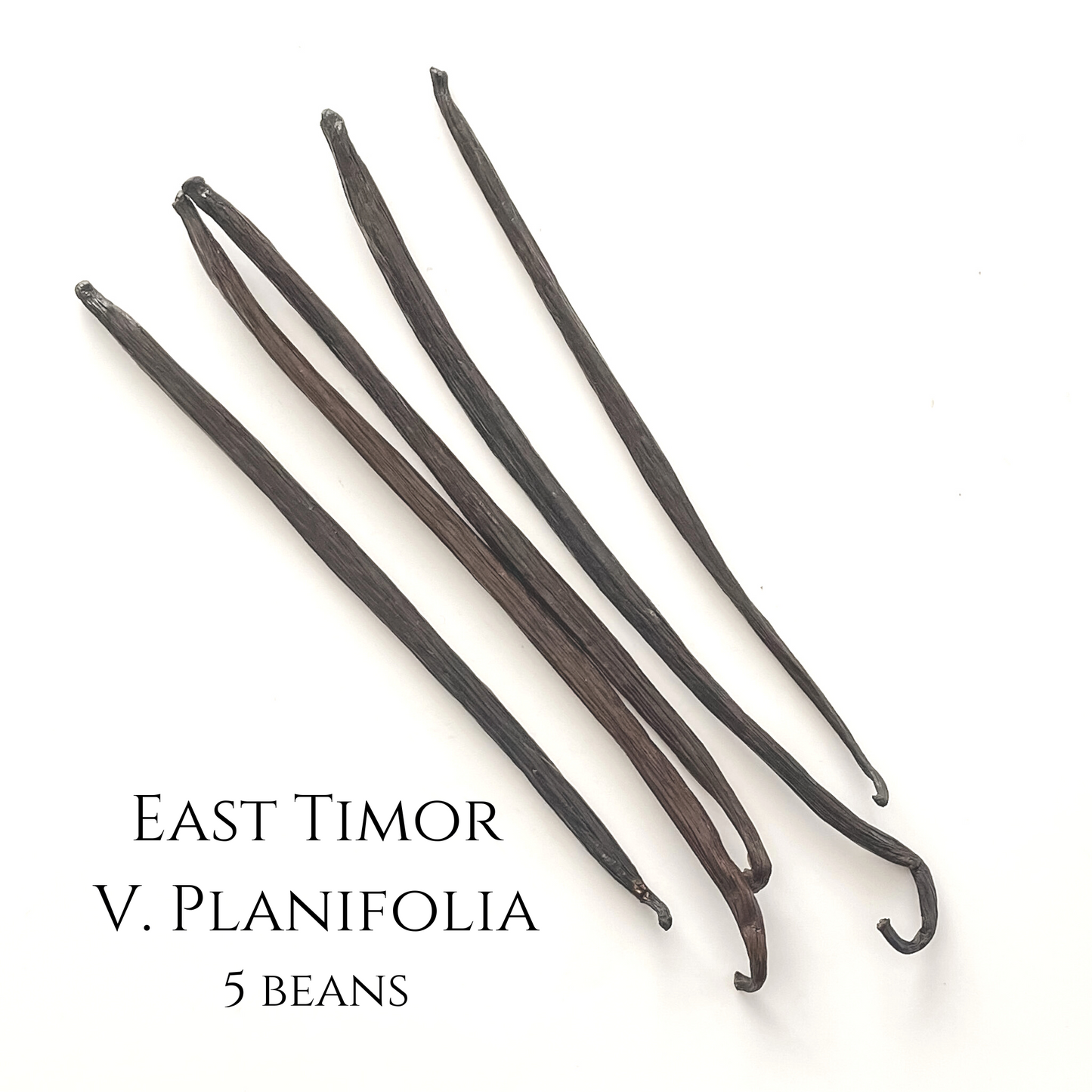 East Timor V. planifolia Vanilla Beans