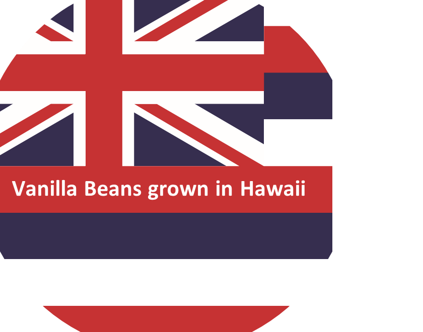Stickers: Worldwide vanilla collection