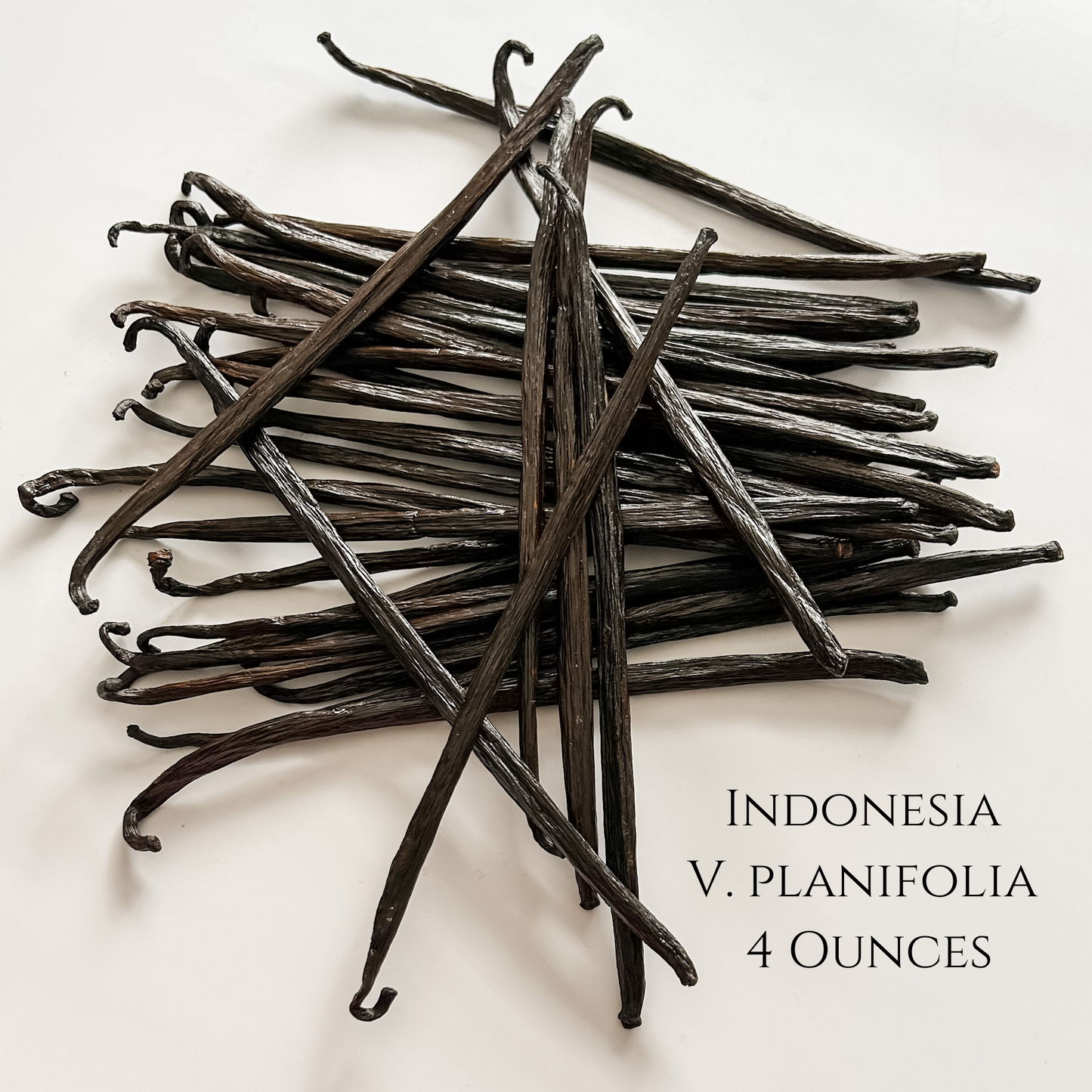 Indonesia V. planifolia Vanilla Beans