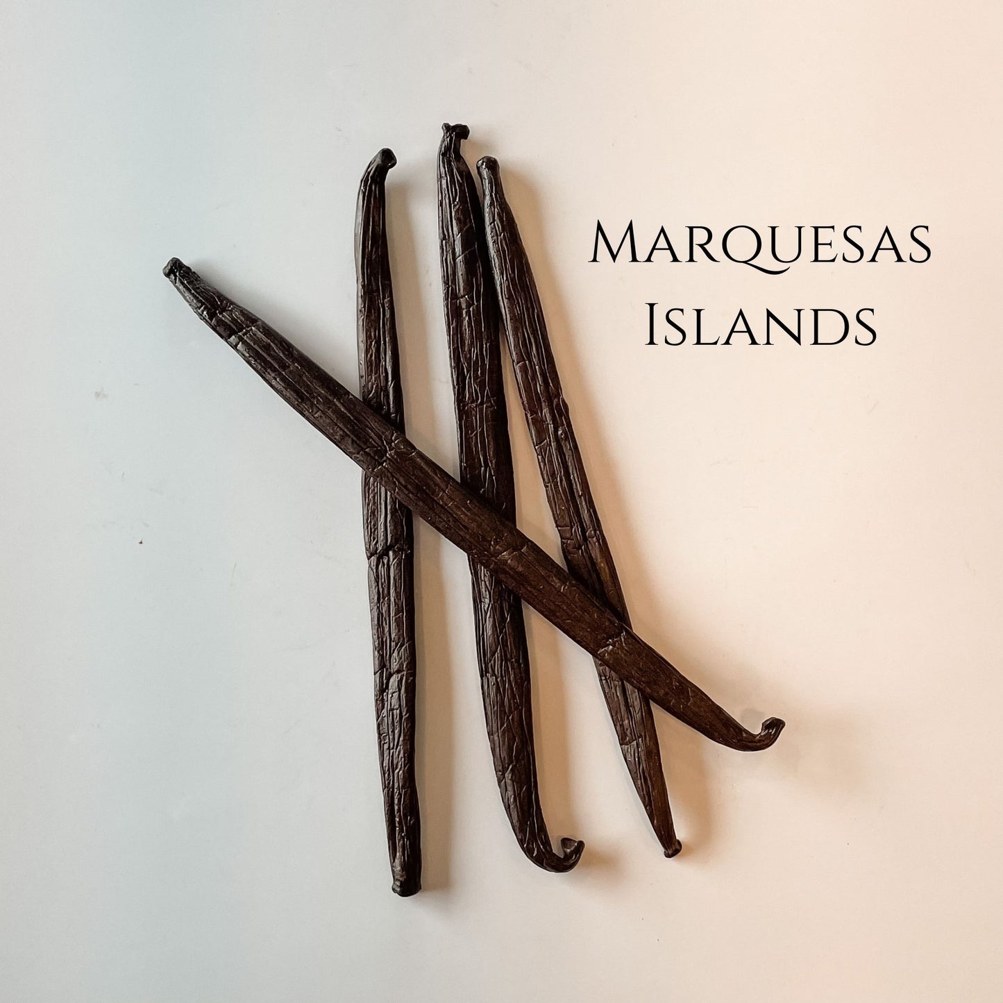 Marquesas Islands V. tahitensis Vanilla Beans