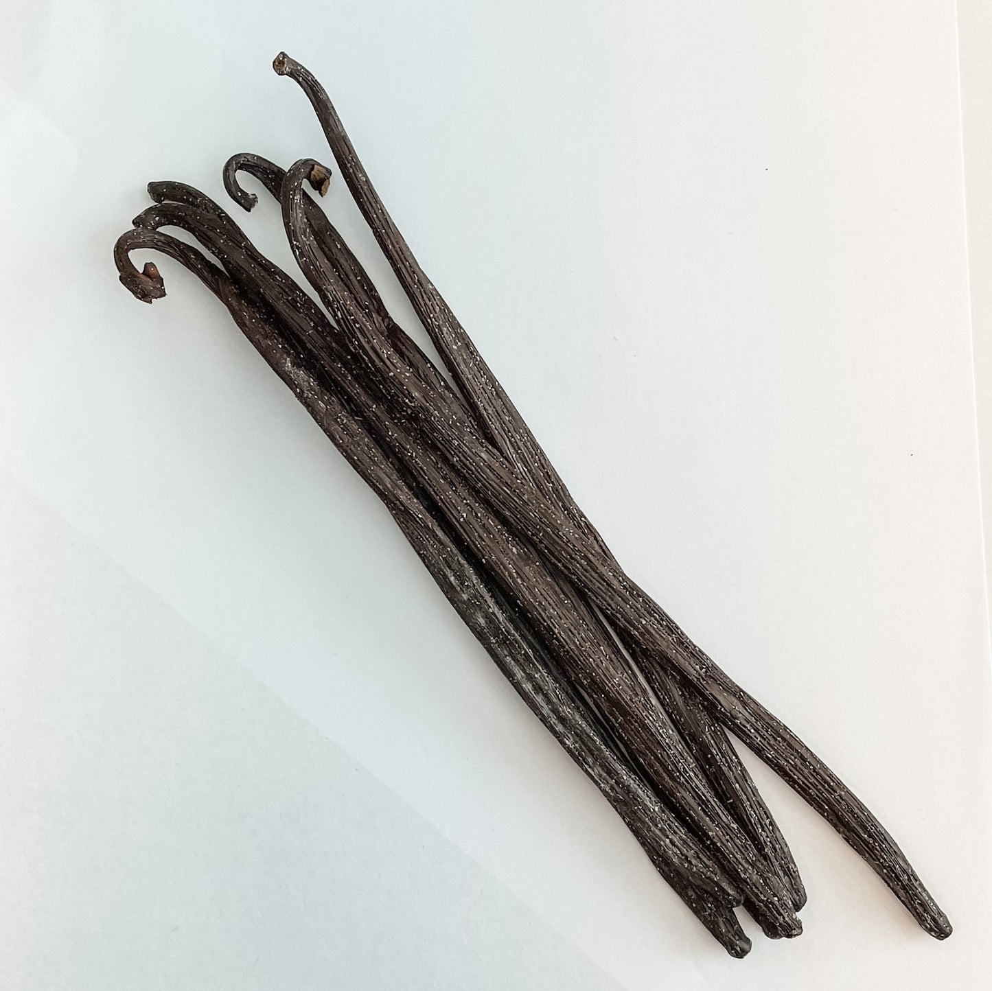 New Caledonia V. planifolia Vanilla Beans