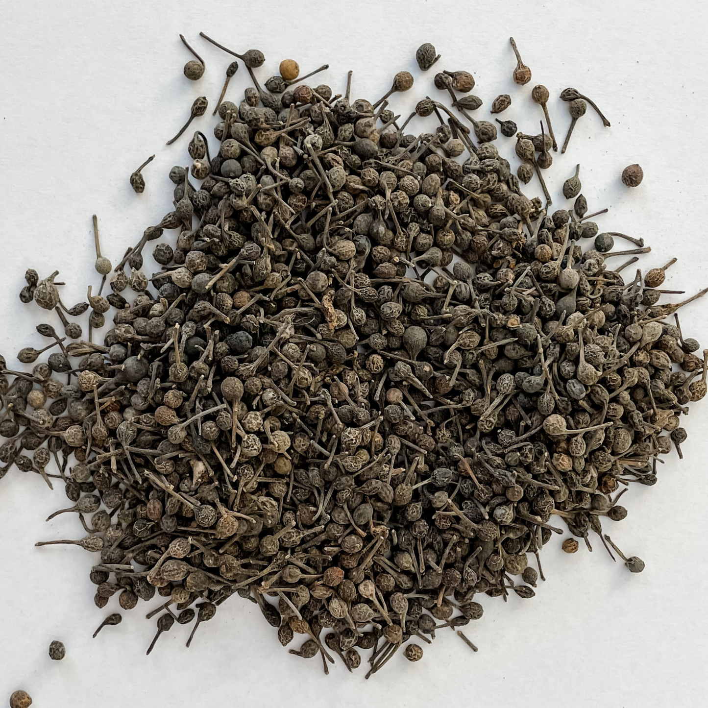 Madagascar wild peppercorns with their tails