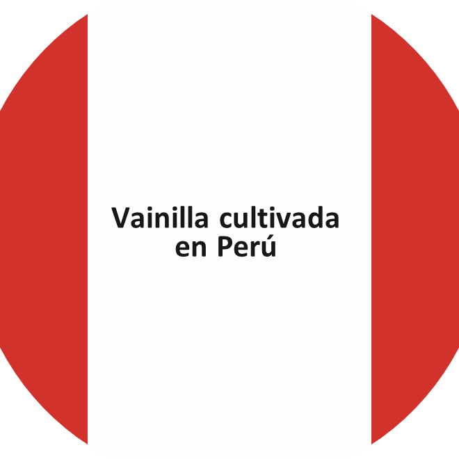 Stickers: Worldwide vanilla collection