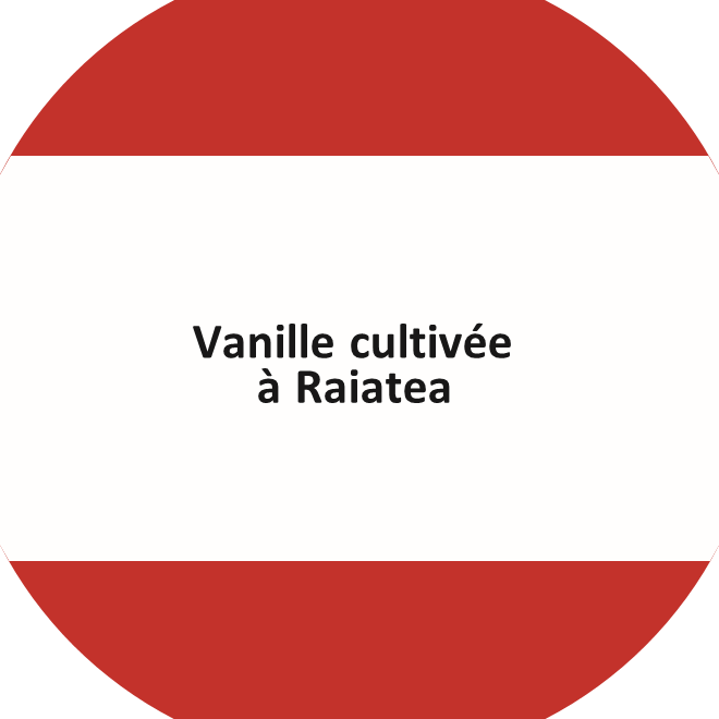 Stickers: Worldwide vanilla collection