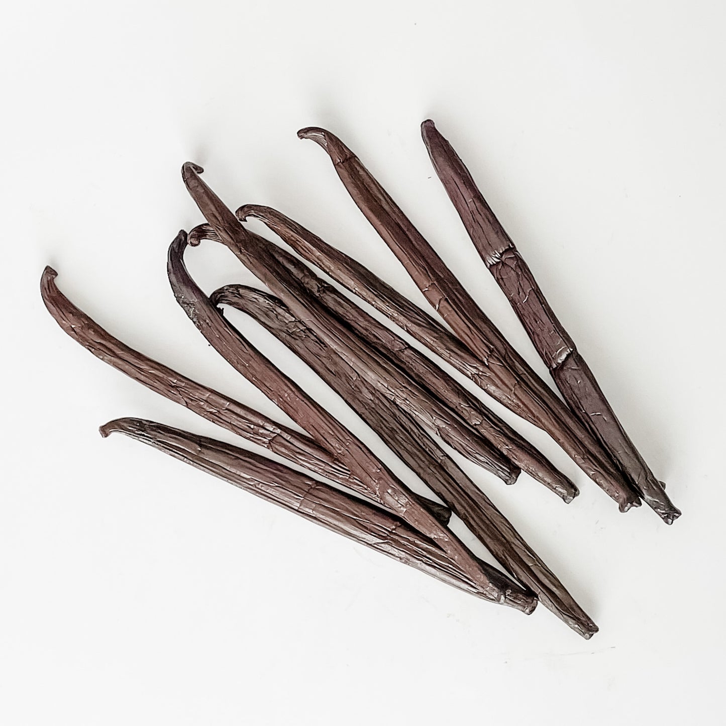 Raiatea V. tahitensis Vanilla Beans