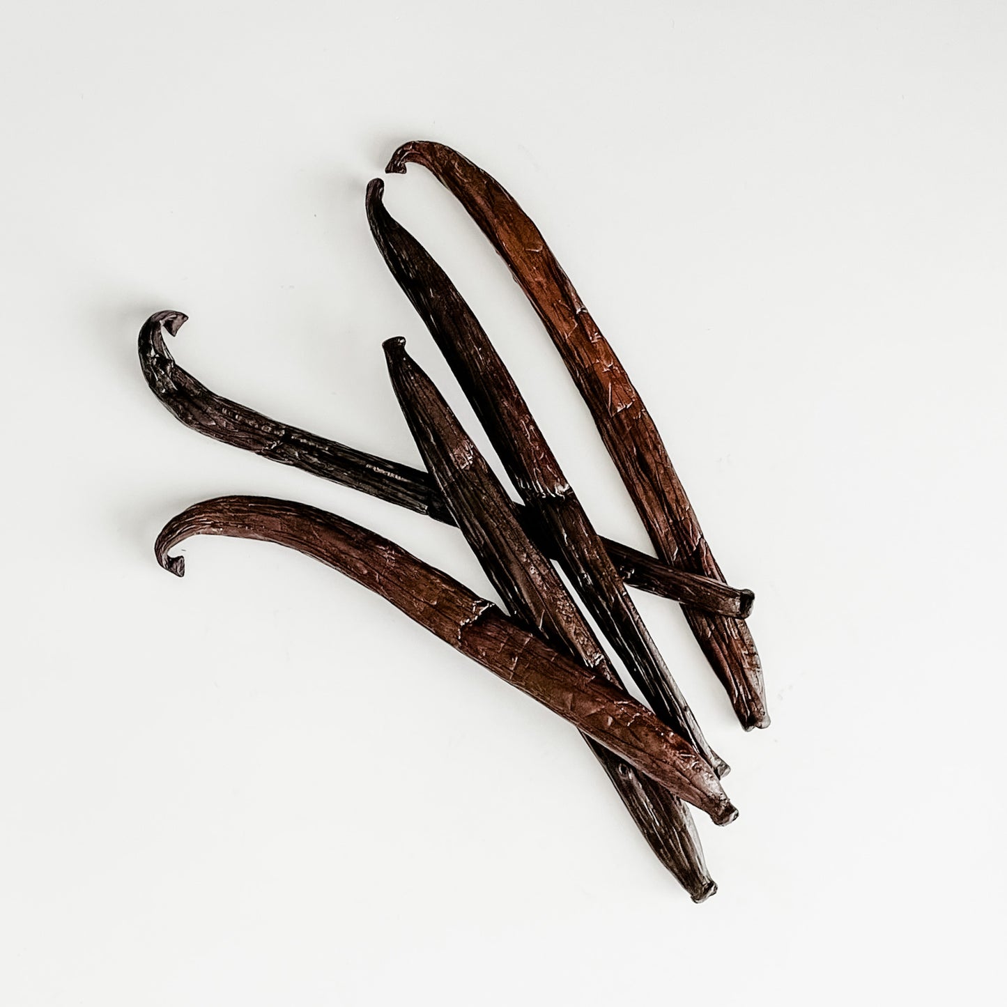 Raiatea V. tahitensis Vanilla Beans