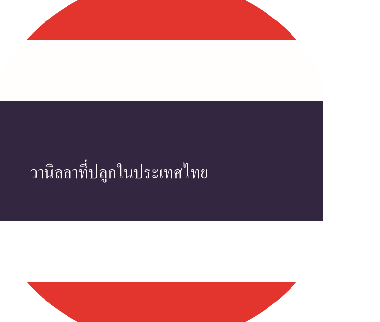 Stickers: Worldwide vanilla collection