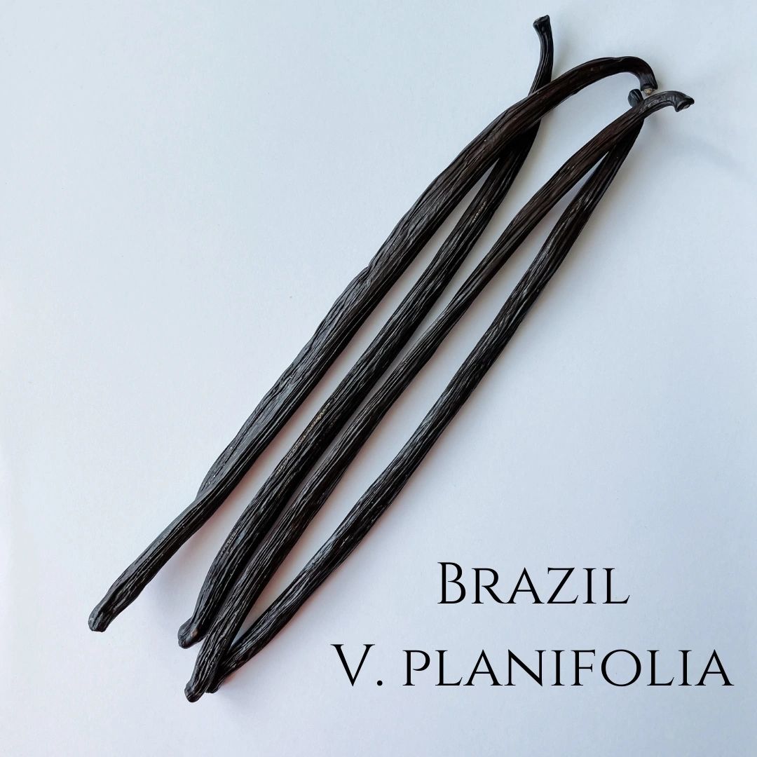 Brazil V. planifolia Vanilla Beans