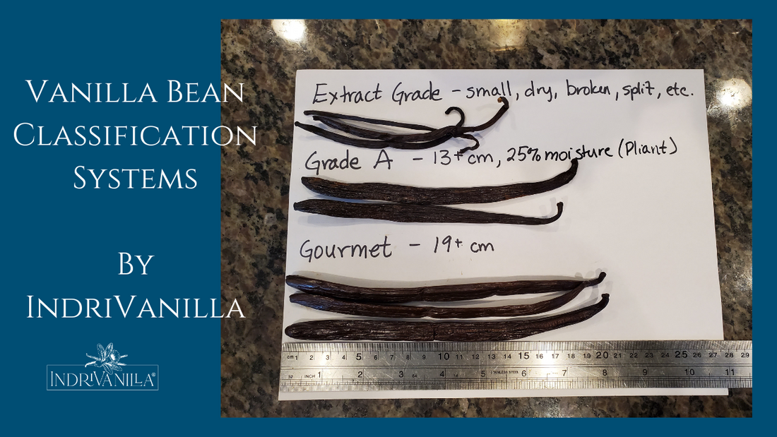 What does Grade mean when discussing vanilla beans?