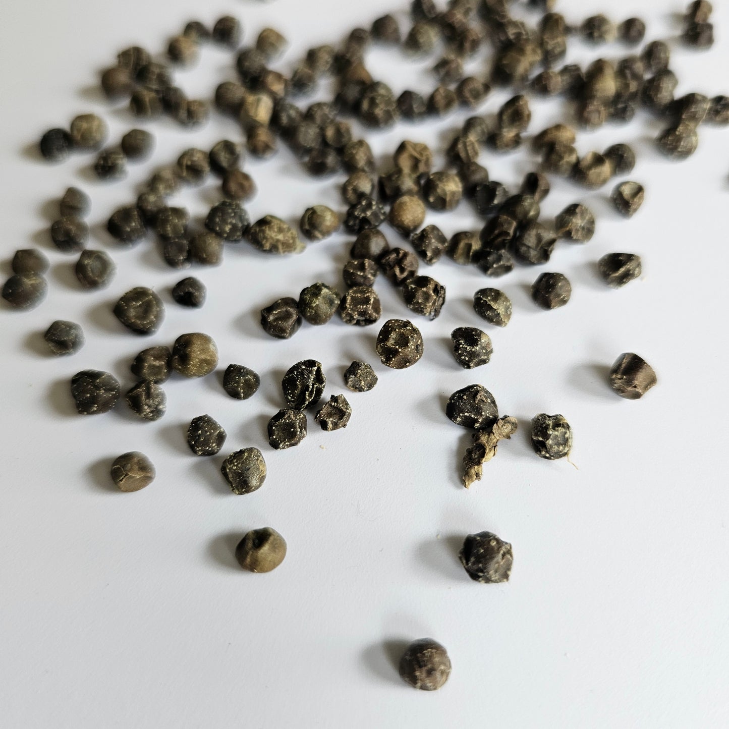 Green Peppercorns
