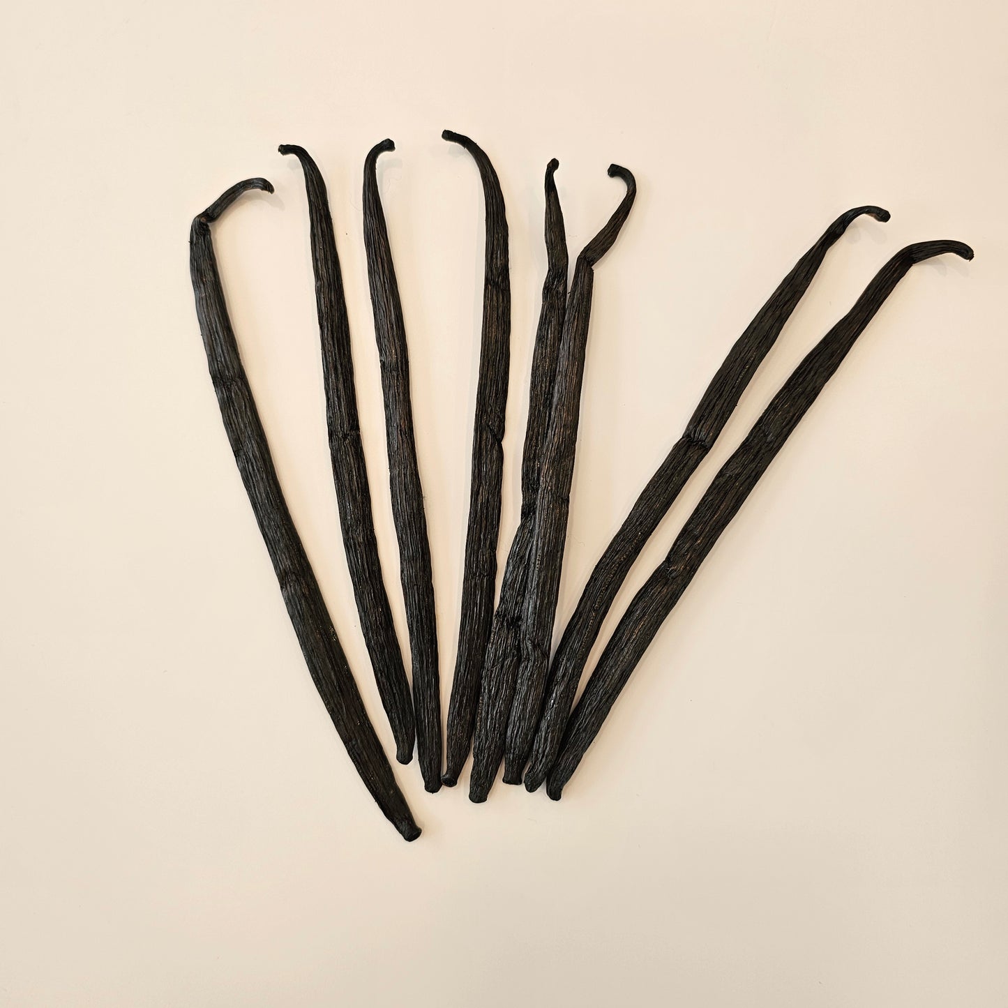 Zanzibar, Tanzania V. planifolia Vanilla Beans