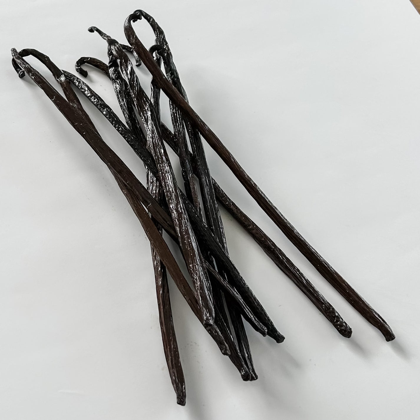 Hawaii V. planifolia Vanilla Beans IndriVanilla