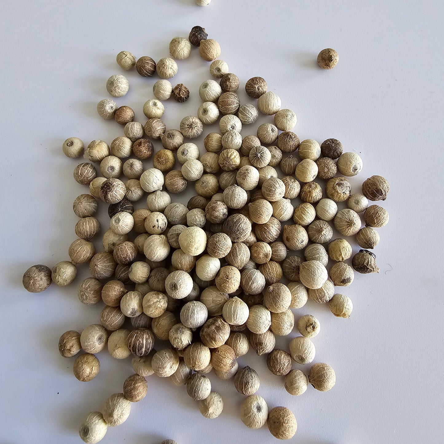 White Peppercorns