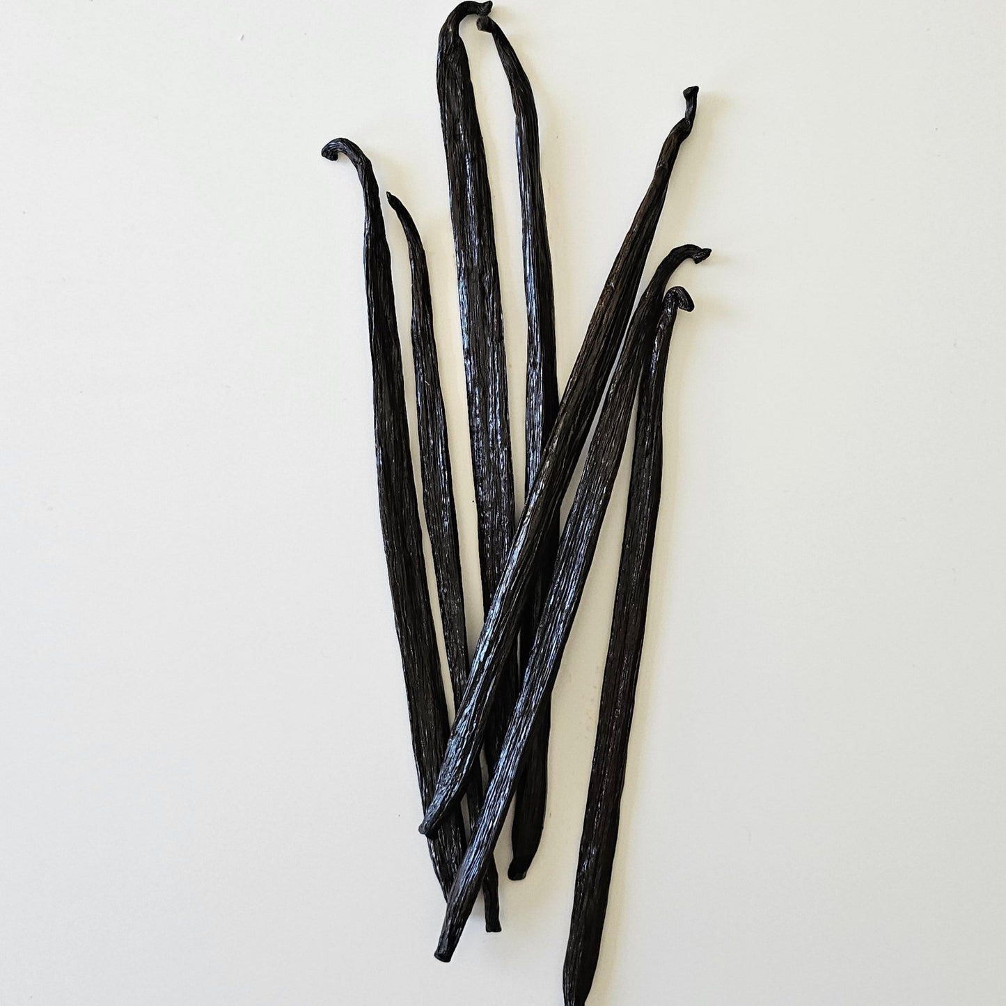 Philippines V. planifolia Vanilla Beans