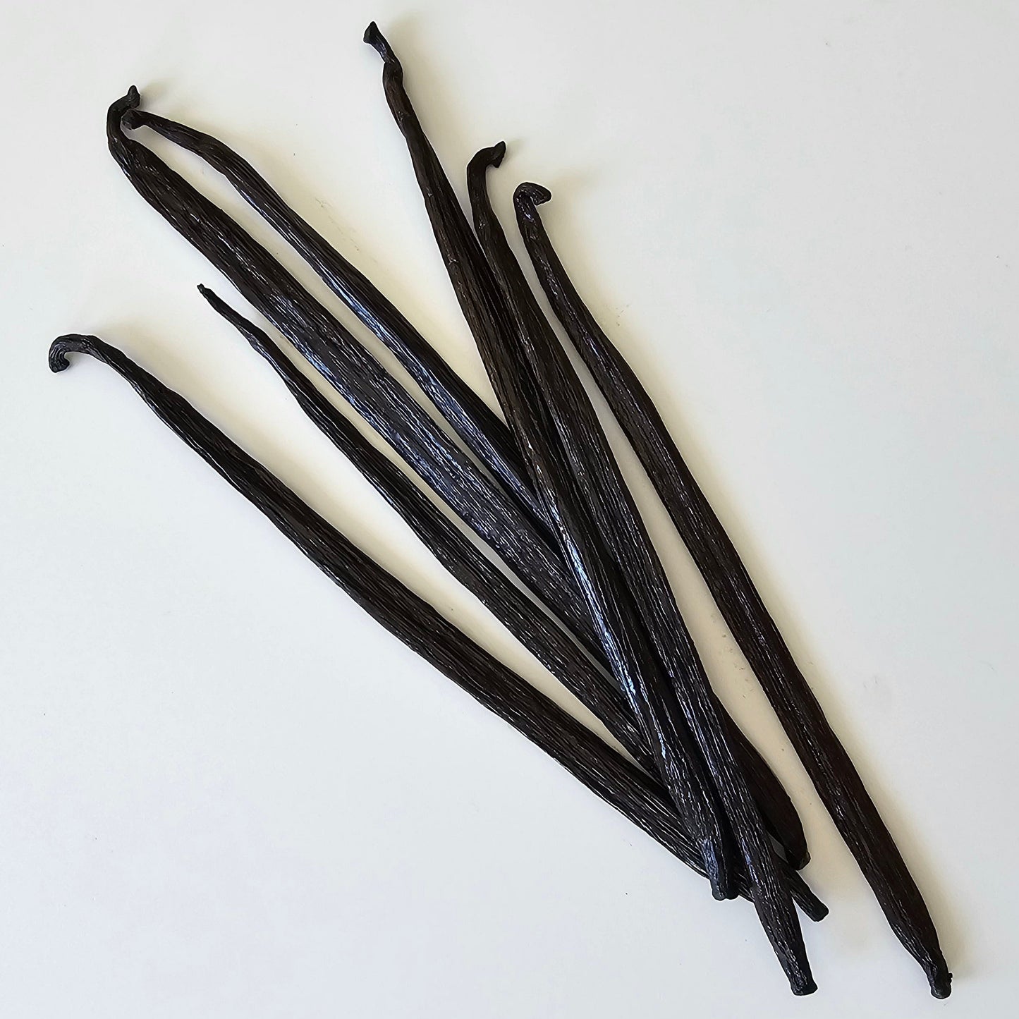 Philippines V. planifolia Vanilla Beans